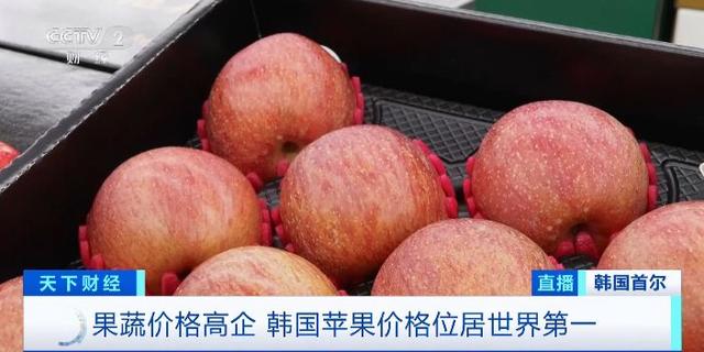 一颗苹果18元！果蔬价格高企，韩国苹果价格居世界第一第3张
