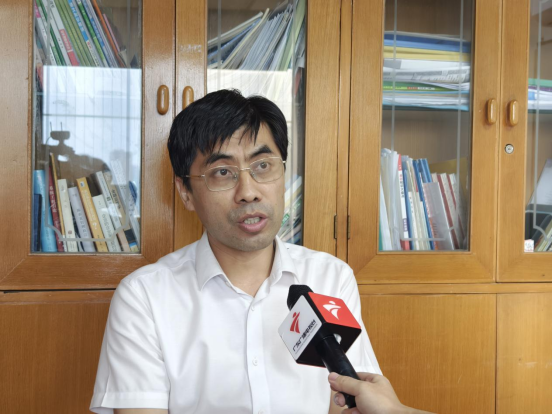 深中通道即将通车 专家热议广州南沙、深圳宝安、中山三地迎来一体化发展新机遇第5张