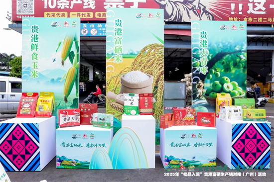 2025年“桂品入湾”贵港富硒米产销对接活动在广州成功举办第5张