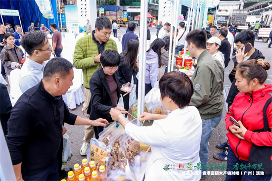 2025年“桂品入湾”贵港富硒米产销对接活动在广州成功举办第6张