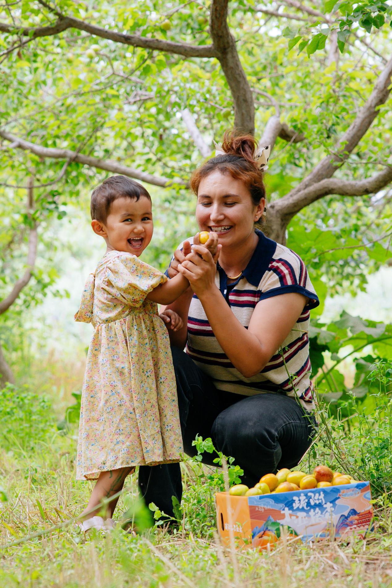 撬动全网热度暴涨百倍，一颗“黄金果”的逆袭路第1张