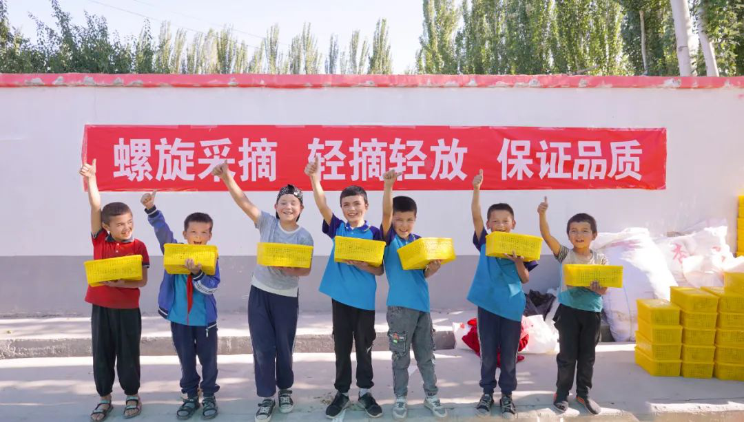 撬动全网热度暴涨百倍，一颗“黄金果”的逆袭路第3张