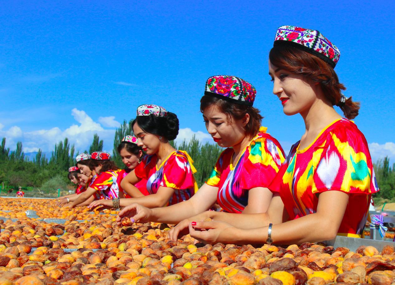 撬动全网热度暴涨百倍，一颗“黄金果”的逆袭路第5张