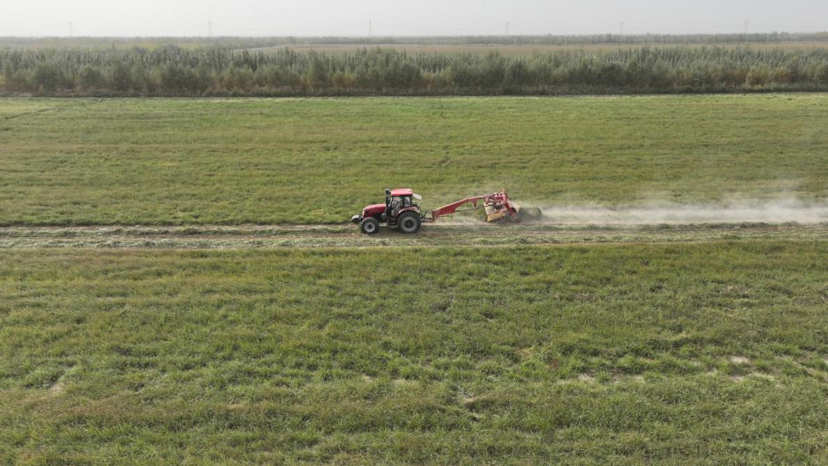 扎根、奉献、远行，一颗“全能豆”的新征程第3张