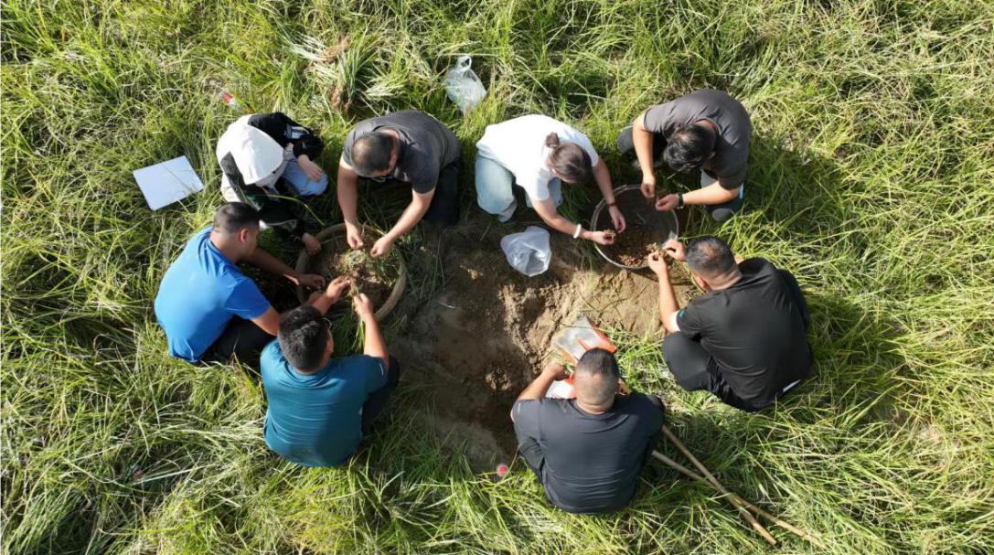 扎根、奉献、远行，一颗“全能豆”的新征程第4张