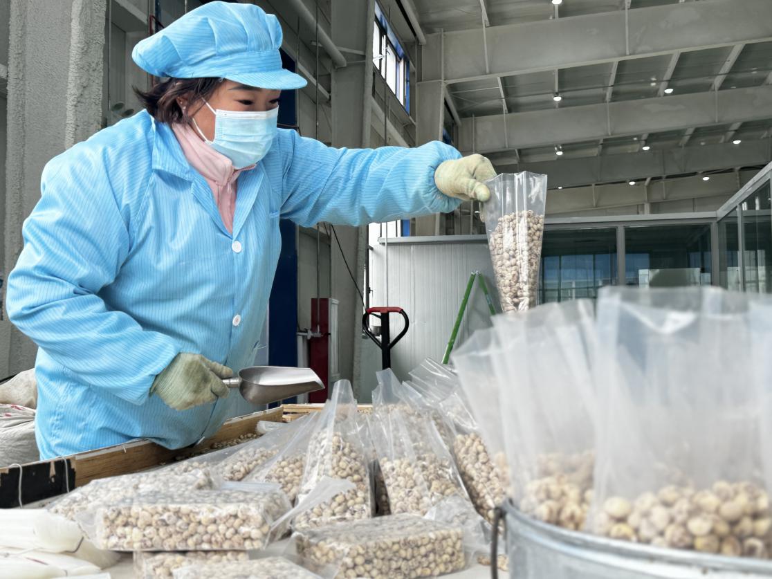 扎根、奉献、远行，一颗“全能豆”的新征程第5张