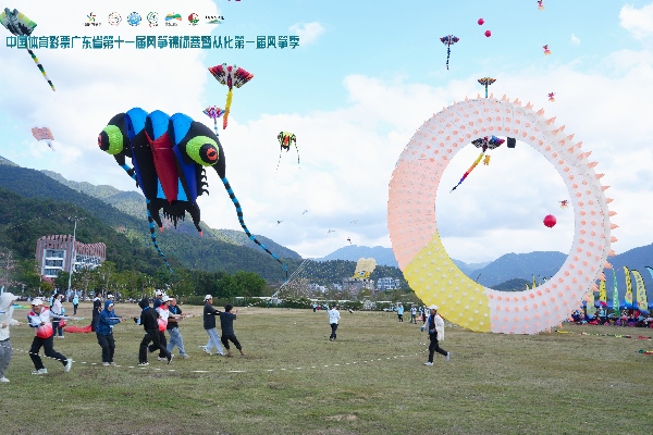 14城劲旅从化“筝”锋 “湾区绿谷”上演蓝天盛宴第2张