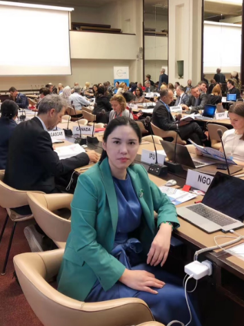 国际信息发展组织出席2019“为联合国发展系统融资”年度报告简会