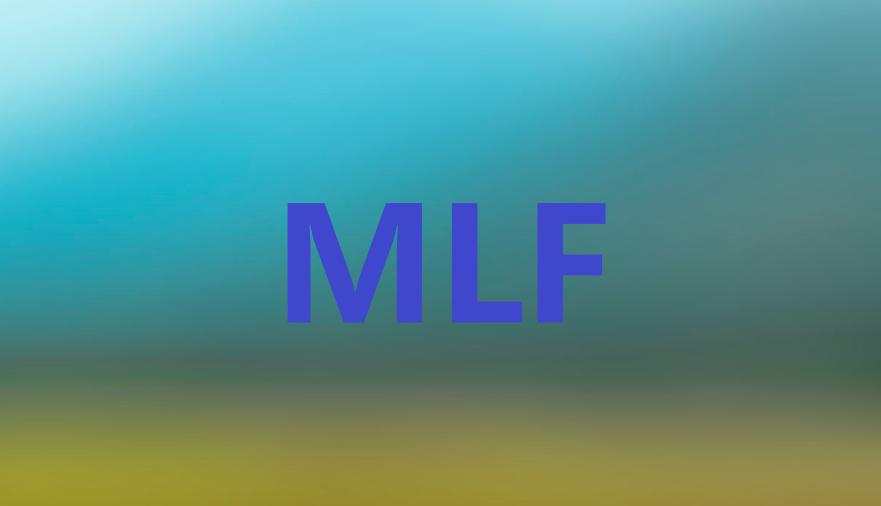 MLF20201116154400.png