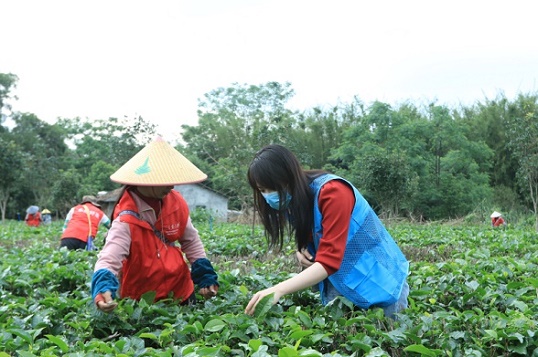 C_5381.jpg